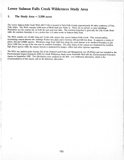 Lower Salmon Falls Creek