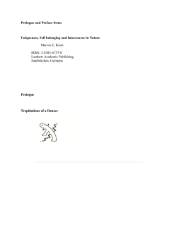 07 15 2010 Prologue and Preface Uniqueness for Co prnts