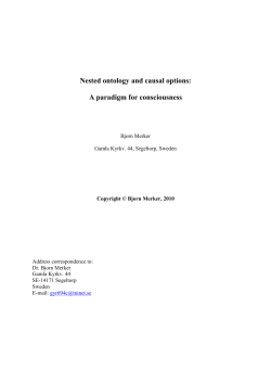 ParadigmConsc(ArchiveCopy)
