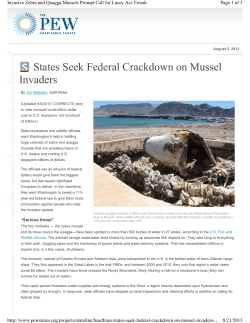 States Seek Federal Crackdown