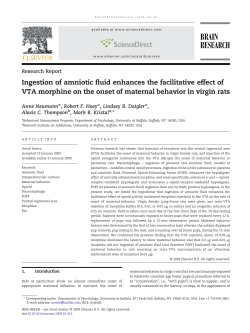 POEF VTA maternal