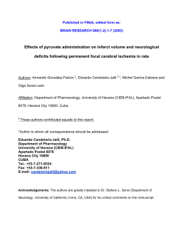 pyruvate in stroke Brain Res 2003