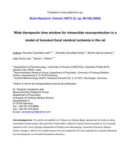 Brain Res 2004 nimesulide stroke