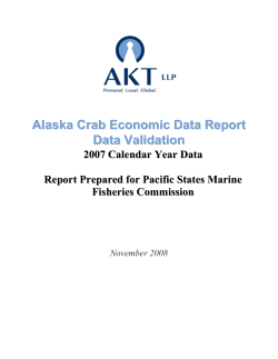 Final Audit Report for 2007