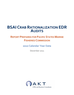 Final Audit Report for 2010