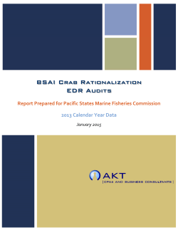 Final Audit Report for 2013