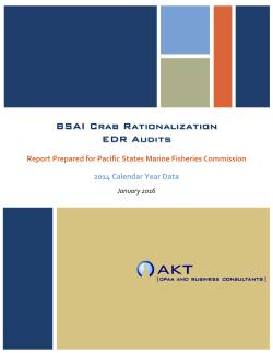 Final Audit Report for 2014