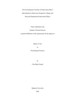 gezgin ma thesis in economic psychology 2002