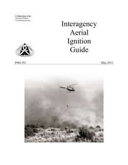 Interagency Aerial Ignition Guide