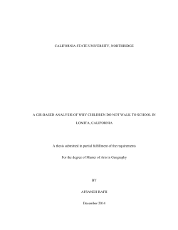 Rafii Afsaneh thesis 2015