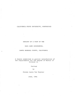 VanWagonerSteven1981