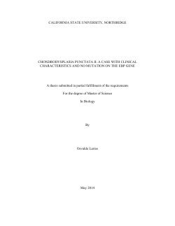 Larios Osvaldo thesis 2014