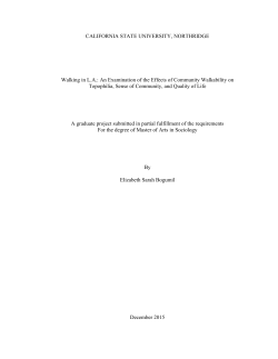 Bogumil Elizabeth thesis 2016