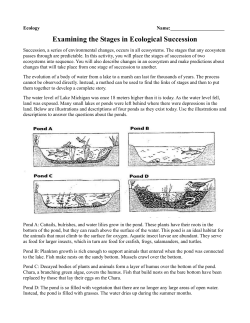 ecological succession