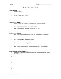 carbon cycle worksheet