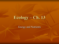 ecology - ch 13