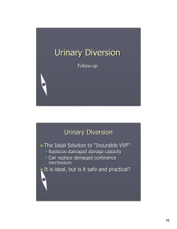 Follow-up of the diverted VVF Patient