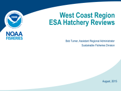 Federal Panel Issues and Perspectives - West Coast Region ESA Hatchery Reviews (Robert Turner - NOAA)