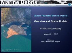 Marine Debris, Japanese Tsunami (Nir Barnea)