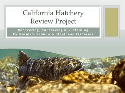 NOAA Regional Panel Salmon Recovery/Hatchery Reform (Robert Clarke)