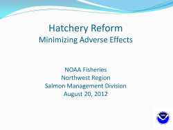 NOAA Regional Panel Salmon Recovery/Hatchery Reform (Bob Turner)