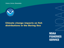 PSMFC Annual Meeting 2011: Bering Sea (Tom Wilderbuer)