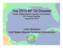 The 2010 BP Oil Disaster (Simpson, Larry)