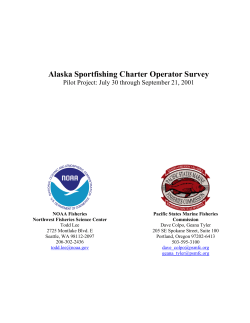 (Document available .pdf format (~600KB))