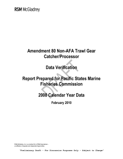 2008 Audit Report (marked as DRAFT but is final document)
