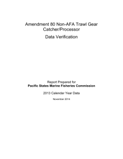 2013 Audit Report