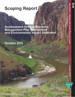 Southeastern Oregon Resource Scoping Report
