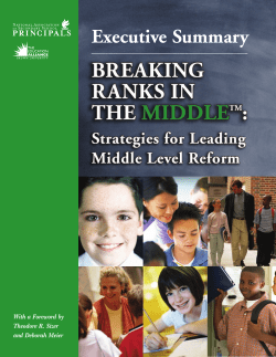 Breaking Ranks In The Middle Reform Exec Summary