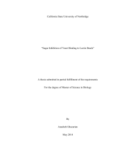 Ghazarian Anasheh thesis 2015