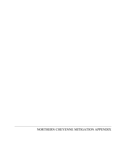Northern Cheyenne Mitigation