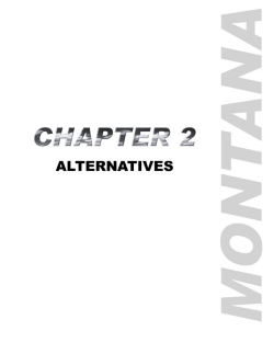 Chapter 2--Alternatives
