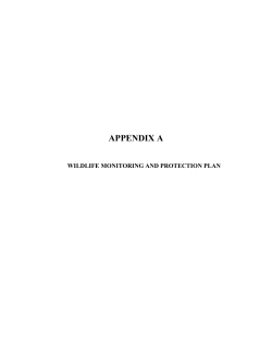 Appendix A