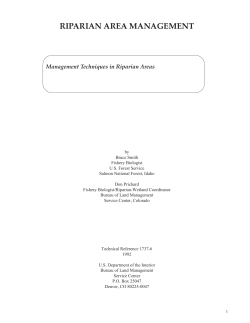 Download PDF