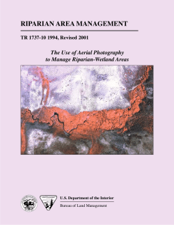 Download PDF