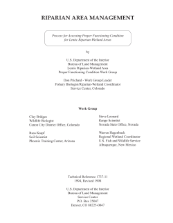 Download PDF