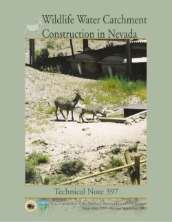 Wildlife water catchment construction in Nevada