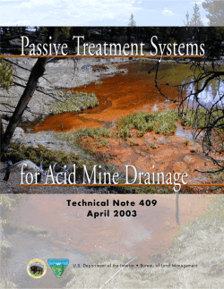 Passive treatment systems for Acid Mine Drainage
