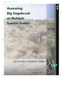 Assessing big sagebrush at multiple spatial scales : an example in southeast Oregon