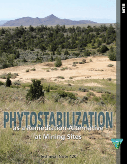 Phytostabilization as a remediation alternative at mining sites