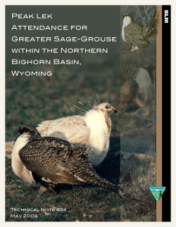 Peak Lek Attendance for Greater Sage-Grouse within the Northern Bighorn Basin, Wyoming