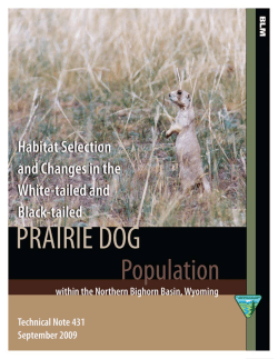 Habitat Selection and Changes in the White-tailed and Black-tailed Prairie Dog Population within the Northern Bighorn Basin, Wyoming