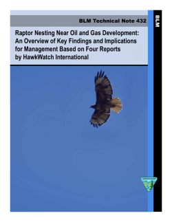 Raptor Nesting Near Oil and Gas Development: An Overview of Key Findings and Implications for Management Based on Four Reports by HawkWatch International