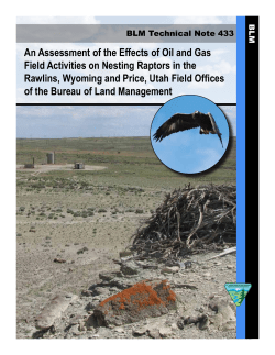 An Assessment of the Effects of Oil and Gas Field Activities on Nesting Raptors in the Rawlins, Wyoming and Price, Utah Field Offices of the Bureau of Land Management
