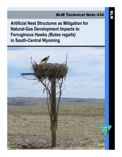 Artificial Nest Structures as Mitigation for Natural-Gas Development Impacts to Ferruginous Hawks (Buteo regalis) in South-Central Wyoming