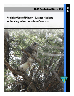 Accipiter Use of Pinyon-Juniper Habitats for Nesting in Northwestern Colorado