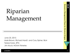 Riparian Management